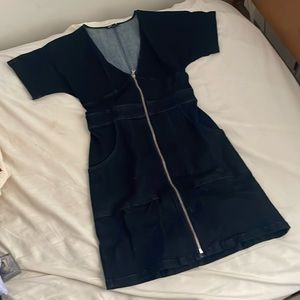 Express Zip Up Denim Dress
